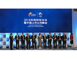 ?？低曔B續三年入選“CCTV中國十佳上市公司”